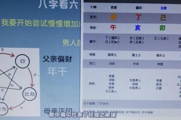 双猪同槽，八字中的暗藏玄机，你是否误解了命运的指引？