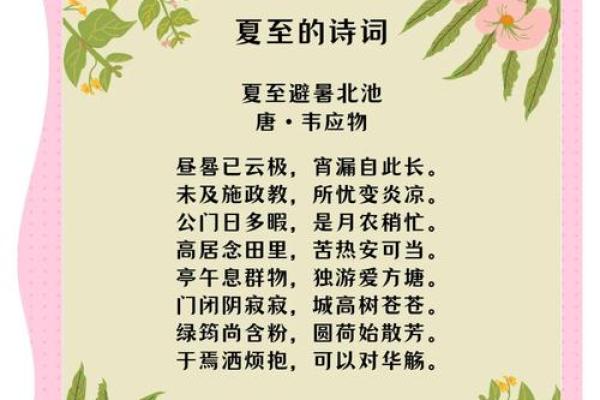 夏至节气，了解古人如何用农耕智慧应对自然变换