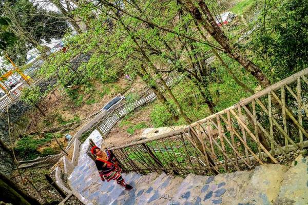 哈吉节：跨越千年的朝圣习俗与精神文化