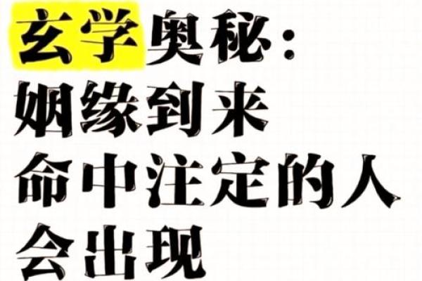 揭开九宫派命理的神秘面纱，误区与真相带你走出困局