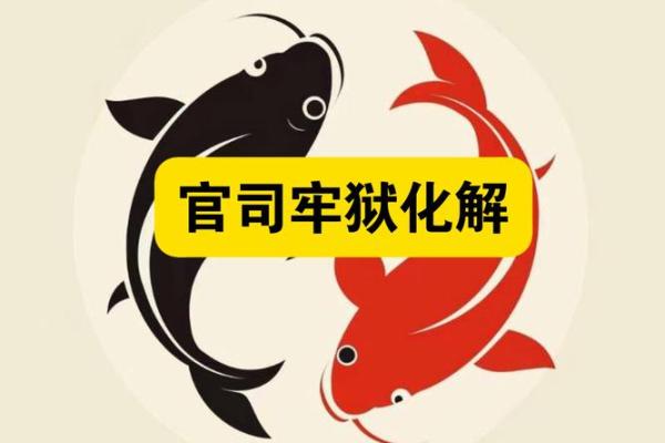 揭开九宫派命理的神秘面纱，误区与真相带你走出困局