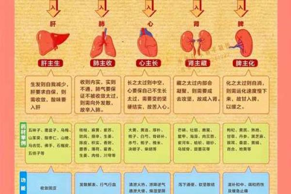 如何改变命运？五行格局中五个土元素的力量，助你开启财富之门