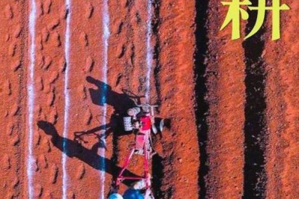 春耕忙碌中的自然节令与生活智慧