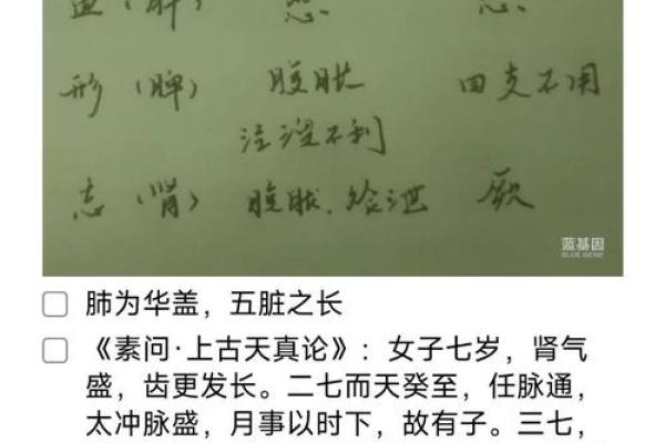 五行误区大揭秘：颠覆传统认知，真正了解如何运用五行力量