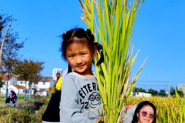 儿童节与农耕文化：从丰收到童年的欢乐