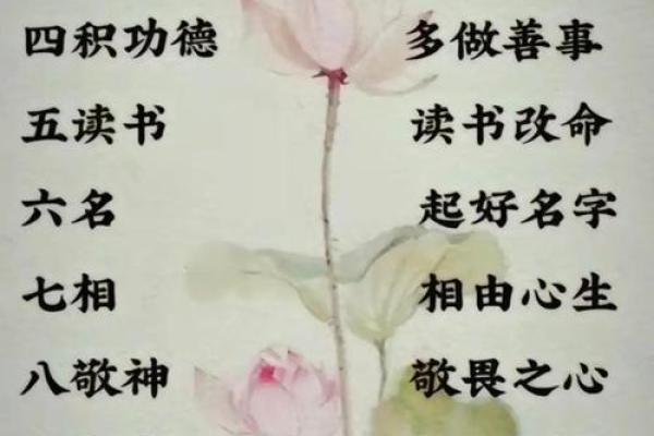 如何通过道家命理破译命运密码，掌握人生主动权