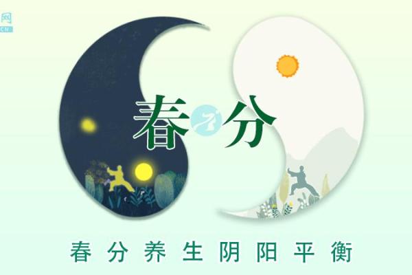 春分：感受自然与养生的完美平衡