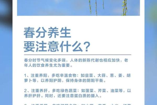 春分：感受自然与养生的完美平衡