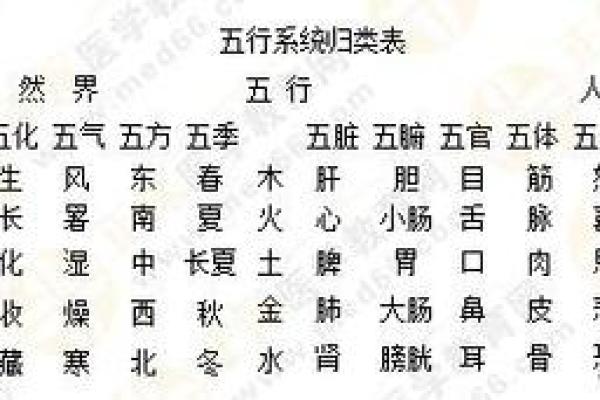 五行格局反其道而行：如何利用性格误区反而获得成功？