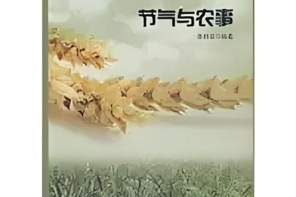九一节气与农业生产的关系及其现代应用