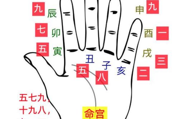 你真的会看九宫格命理吗？命运密码背后的颠覆性秘密