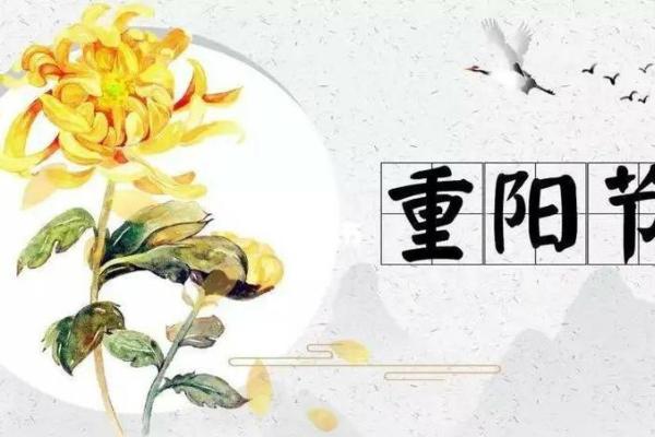 重阳节登高与养生，如何借助自然保持健康