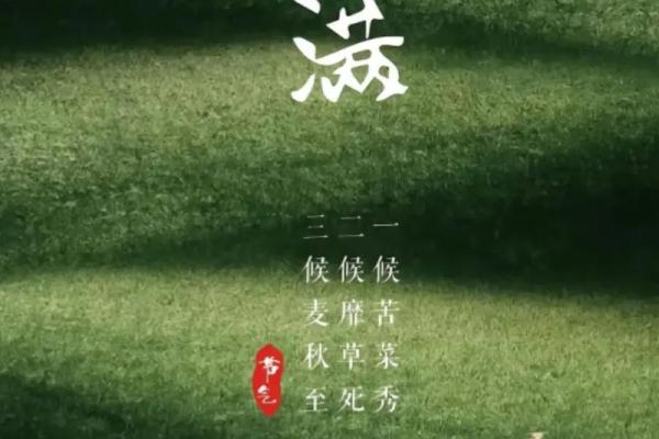 小满时节:探寻农耕文化中的自然节律 小满时节:探寻农耕文化中的自然节律