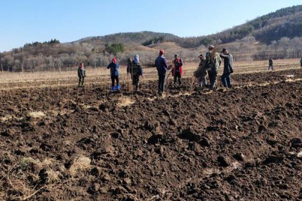 三月十五日的农耕习俗，春耕季节的重要节令