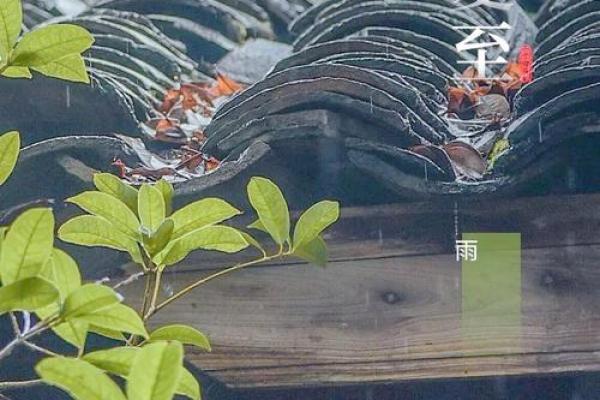 夏至时节的农业活动与天文现象 夏至时节的农业活动与天文现象