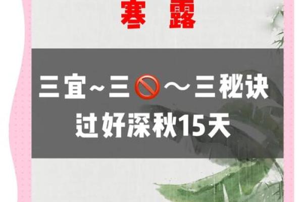 寒露节气的养生秘诀与健康生活指南