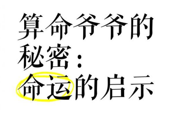 老板命理中的命运密码，揭开成功背后的神秘面纱
