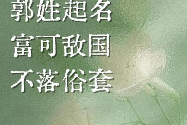五行格局下的郭姓性格解析，揭秘你的独特天赋与改变之道。