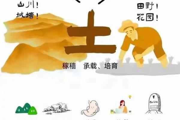 五行性格解析：破解你的五行命盘，提升生活幸福感