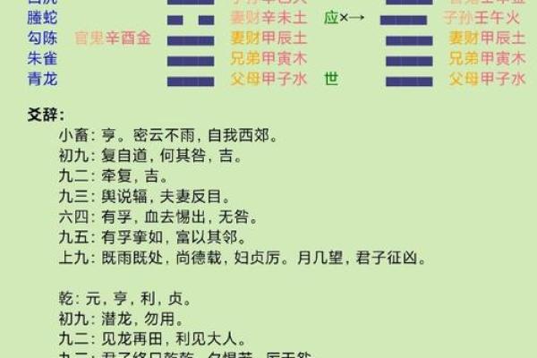 甲寅日命理揭秘：如何通过五行之力改变命运走向？