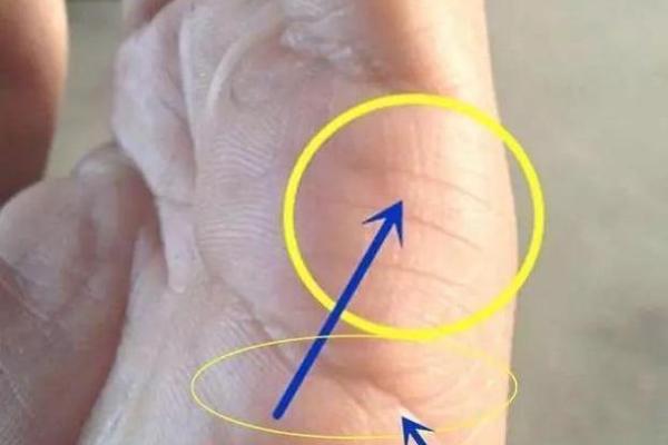 离婚背后的命运密码，八字分析让你不再迷茫