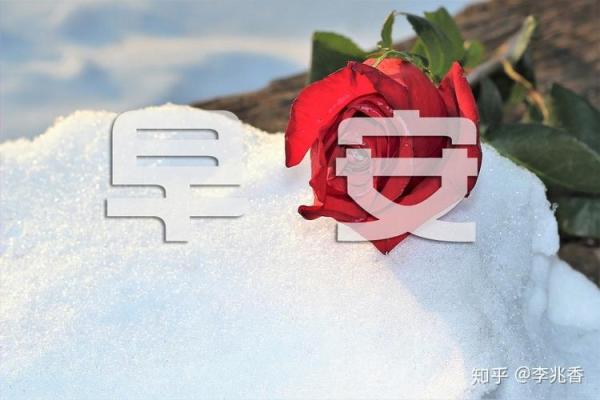 俄罗斯冬季节日的暖心习俗与养生智慧