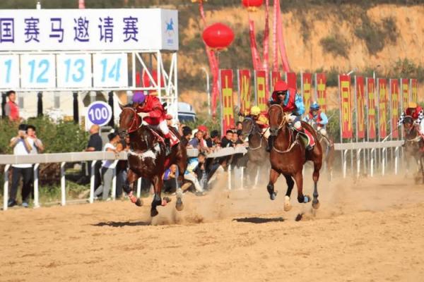 赛马与节令：马的节日如何促进地方经济发展
