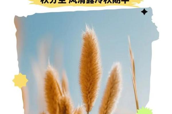 秋分庆典：德国传统农耕节日背后的文化意义