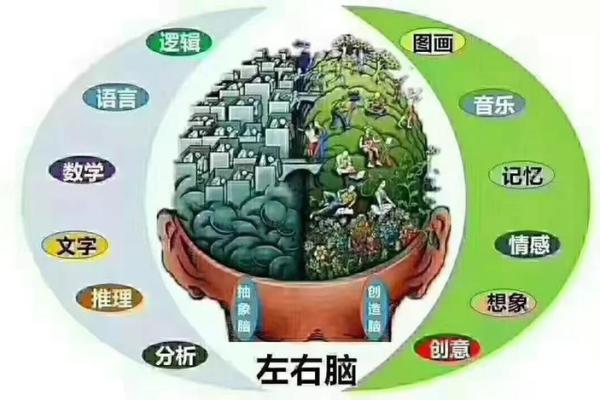 五行格局中的睿字解析：揭秘你的性格潜能，摆脱误区反而更成功
