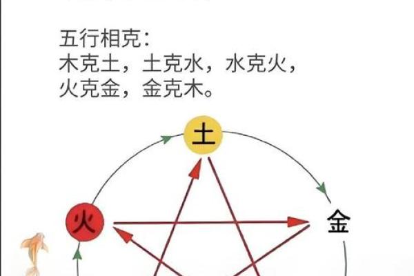 解锁五行格局：性格解析，如何改变命运？