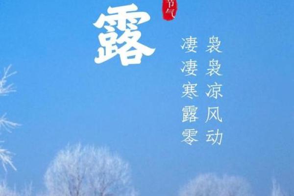 节气变化：寒露时节对农业的深远影响