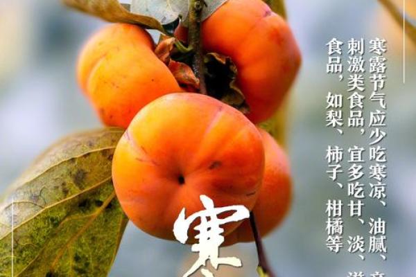 节气变化：寒露时节对农业的深远影响