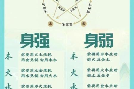 误区大揭秘：五行格局如何影响性格，启之性格解析与改变之道