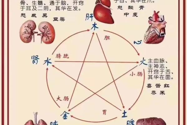 五行格局深度解析：如何通过五行之眼洞悉自我