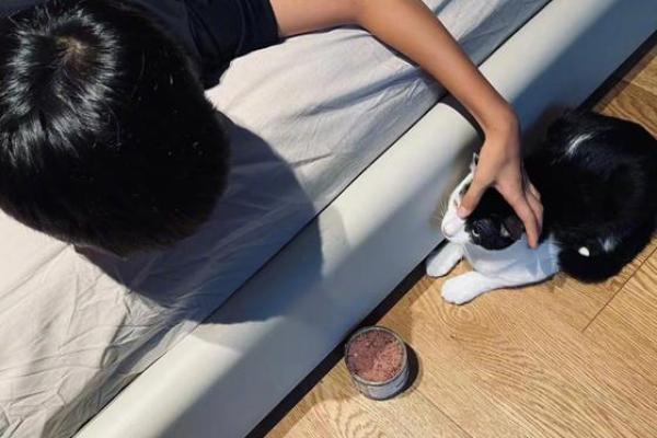 甜馨的八字背后：如何改变你的命运，避免误入八字陷阱