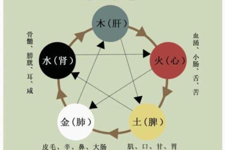 五行格局深度解析：如何通过五行之眼洞悉自我