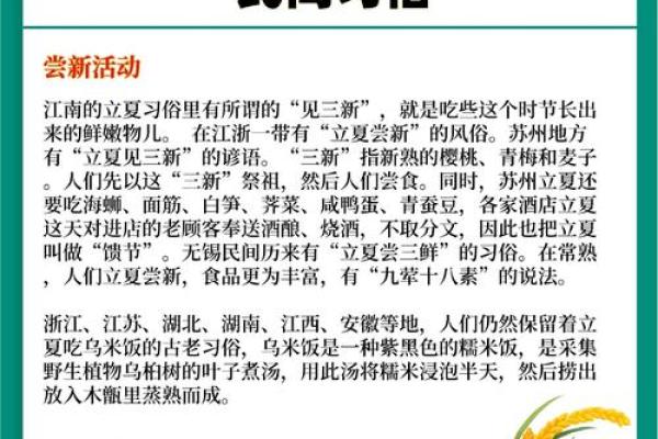 立夏节气，如何通过饮食调理身体平衡