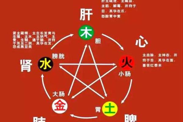 解锁五行秘密：揭秘如何通过性格解析改变命运