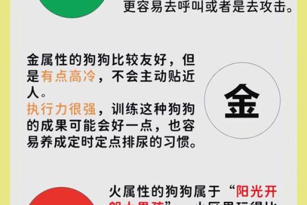 解锁五行秘密：揭秘如何通过性格解析改变命运