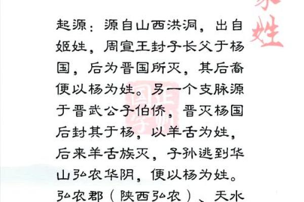 杨字五行格局揭秘：颠覆传统，揭秘性格与命运的秘密联系