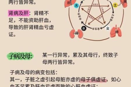 性格解析：五行智慧助你洞悉自身优势与弱点
