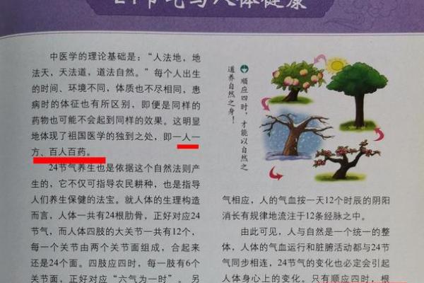 天文与祭祀的交汇：如何通过节气掌握养生之道