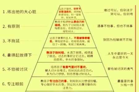 五行格局揭秘：球类运动者的性格解析，如何发挥最佳潜能？
