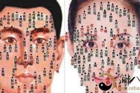 鹿晗妻子命理分析：面相隐藏的命运密码，如何调整走向