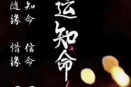 你不知道的命运玄机：八字命理助你逆转人生