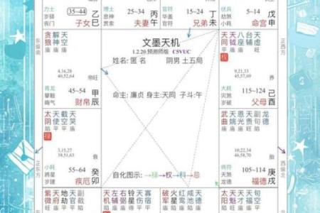芮的五行性格如何影响职场：破解性格解析中的五行格局谜题