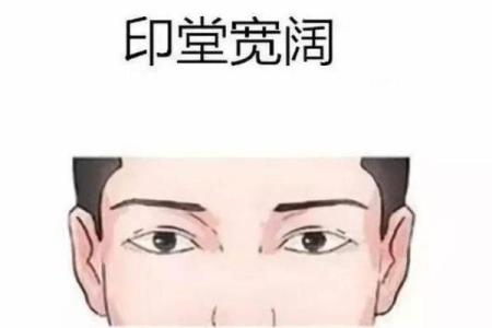 误区大揭露:漫画四柱命理背后的暗藏玄机,能改变你的人生