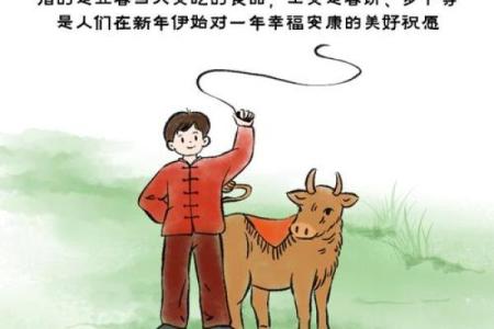 立春节气：迎春而来，如何规划全年健康生活