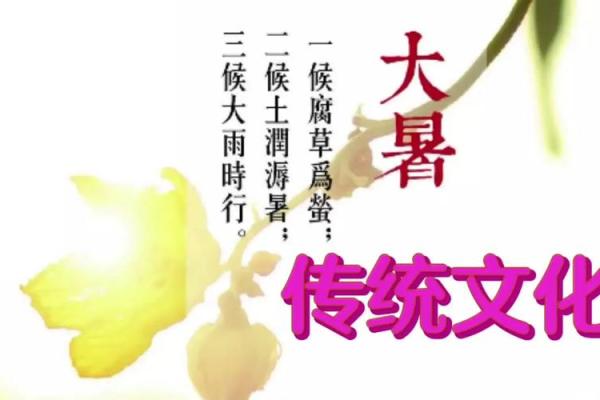 农耕节气:把握盛夏的丰收时机 农耕节气:把握盛夏的丰收时机
