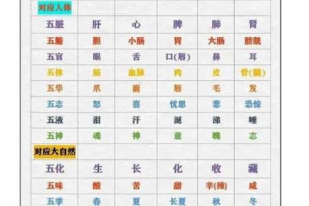 五行格局揭秘:你的性格解析,如何发挥优势?